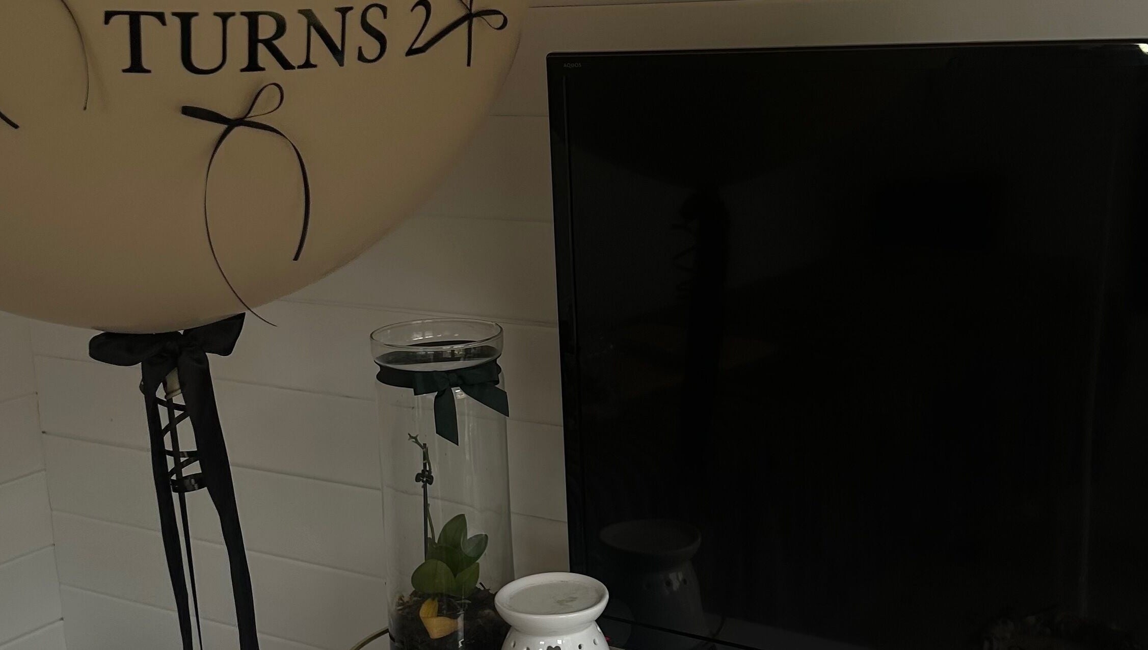 Sophisticated decor at Ts Beauty Lounge, Essex, England, GB with a balloon and plant display.