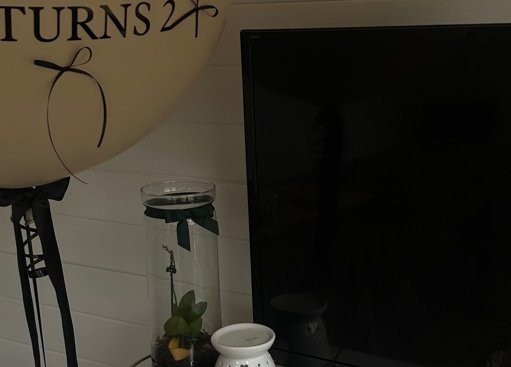Sophisticated decor at Ts Beauty Lounge, Essex, England, GB with a balloon and plant display.