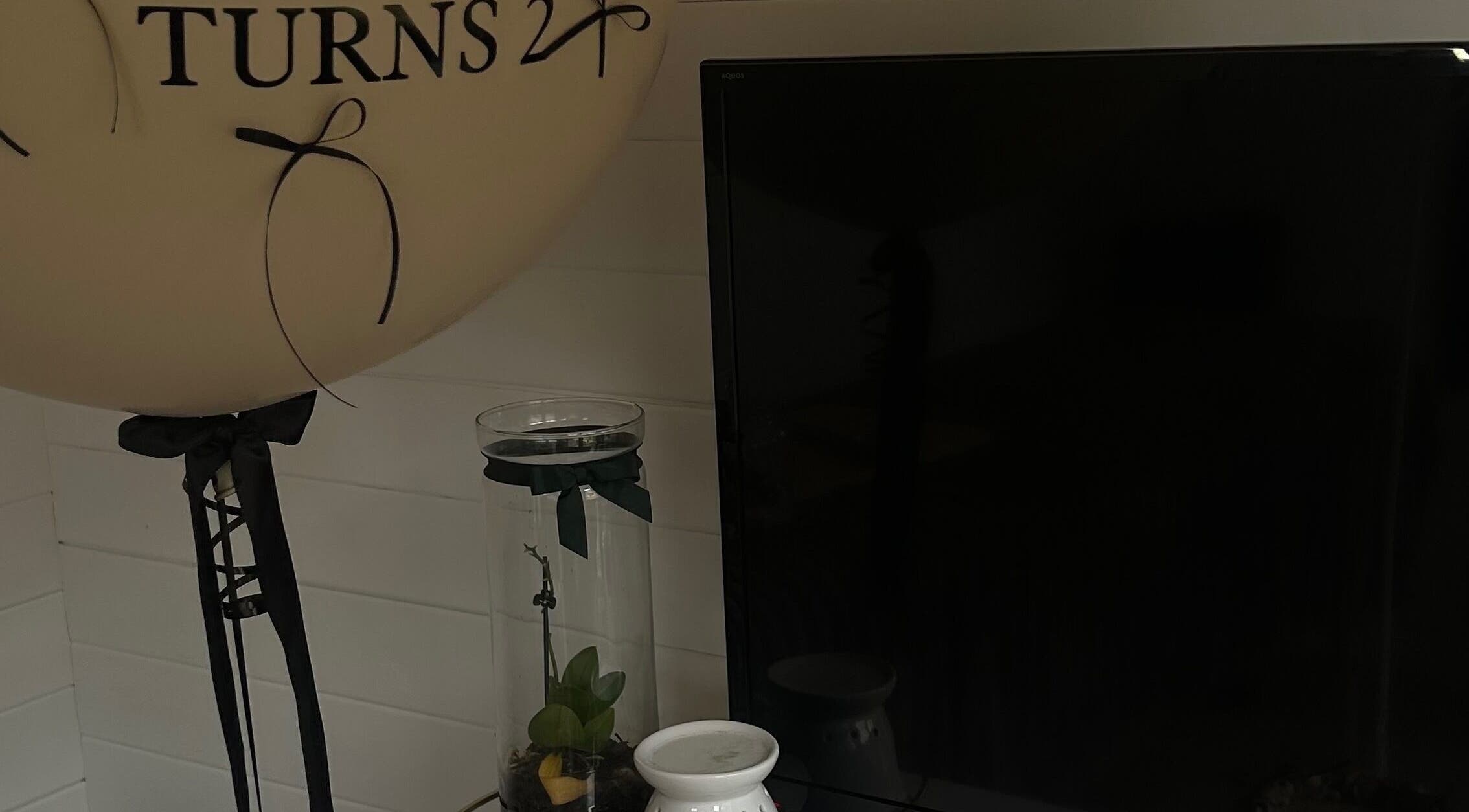 Sophisticated decor at Ts Beauty Lounge, Essex, England, GB with a balloon and plant display.