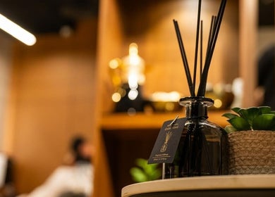 Relaxing diffuser and succulent at Dazzle Code Barber, الرياض, منطقة الرياض, SA, enhancing the soothing vibe.