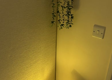 Stylish wall lighting with hanging plant at The Retreat at Salon Nine in Stone, England, GB.