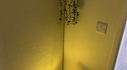 Stylish wall lighting with hanging plant at The Retreat at Salon Nine in Stone, England, GB.