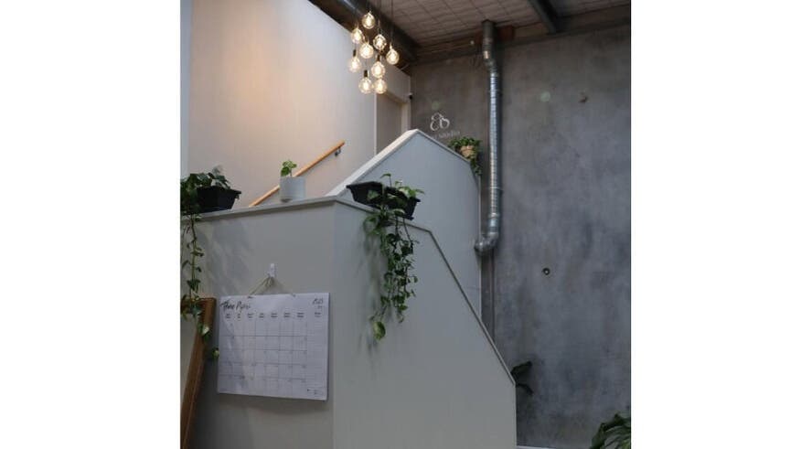 Chic stairway with plants at FatalFangsStudio, Tauranga, Bay Of Plenty Region, NZ under warm hanging lights.