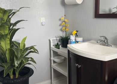 Elegant sink area at A Magic Massage INC in Winter Park, Florida, US, featuring plants and a mirror.