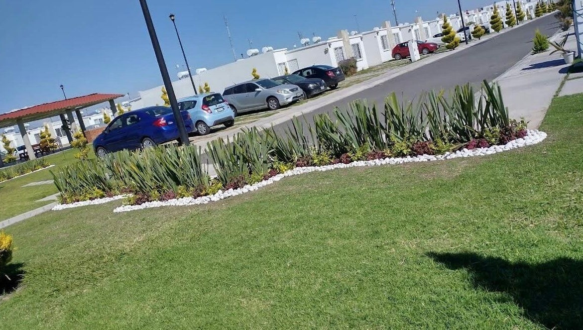 Lush garden area at Naifily, Los Encinos, Querétaro, MX showcasing greenery and a paved pathway.