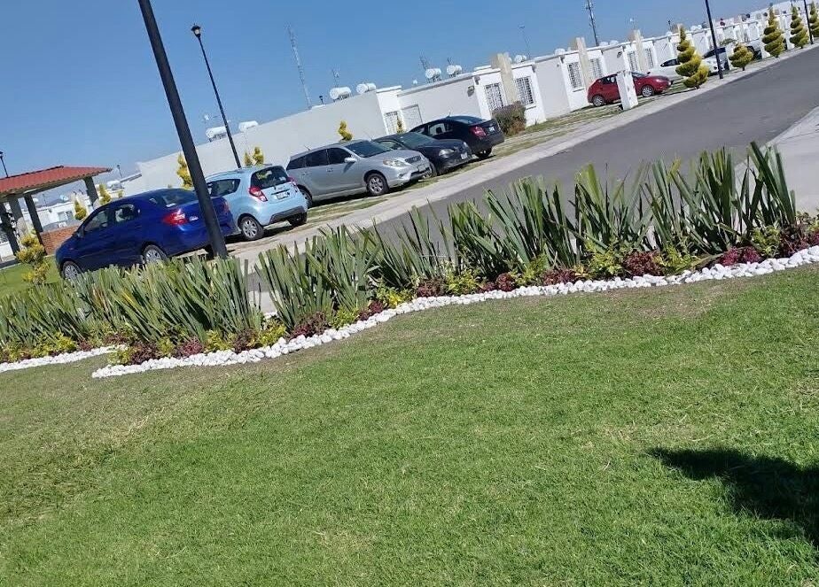 Lush garden area at Naifily, Los Encinos, Querétaro, MX showcasing greenery and a paved pathway.
