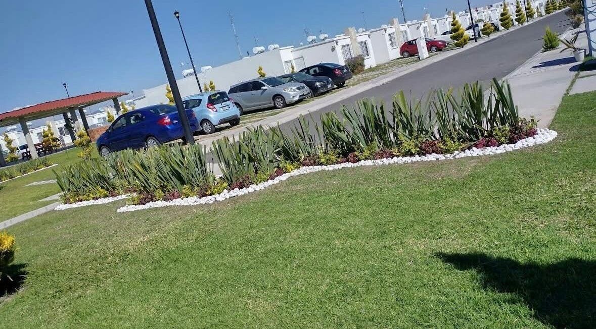 Lush garden area at Naifily, Los Encinos, Querétaro, MX showcasing greenery and a paved pathway.