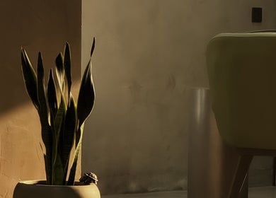 Cozy seating with plant at Double H Salon & Spa, Hail, Hail Province, SA.