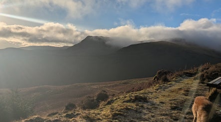 Scenic misty hills at Wren Wild Walkies, Galashiels, Scotland, GB under soft sunlight.