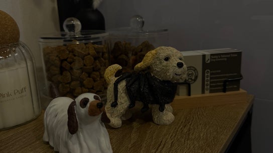 Teddy’s Tailored Trims
