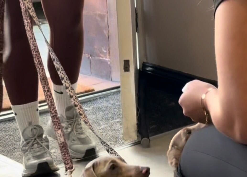 Person with leashed dogs at Teddy’s Tailored Trims entryway, Penrith, England, GB.