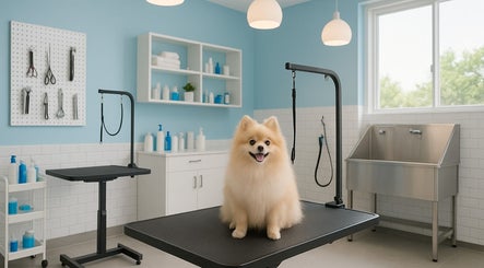 Fluffy dog on grooming table at Pawtraits, Singapore, Singapore, SG. Modern grooming tools in a clean room.
