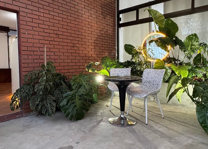 Espacio acogedor en Óla Beauty & Spa, Pachuca De Soto. Plantas adornan una mesa en un ambiente sereno.