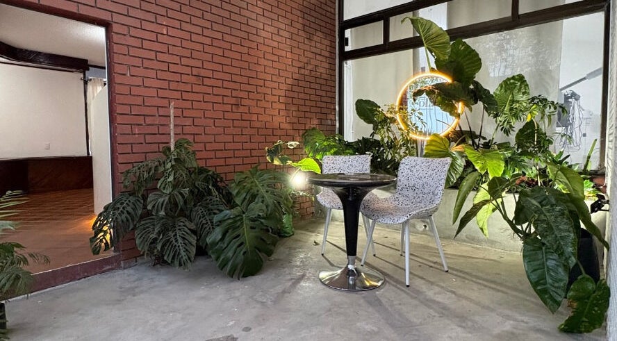 Espacio acogedor en Óla Beauty & Spa, Pachuca De Soto. Plantas adornan una mesa en un ambiente sereno.