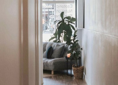Cozy lounge area at Calma Studio in Melbourne, Victoria, AU with plush seating and greenery.