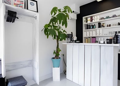 Ontvangstruimte bij Mixt Haarsalon in Haarlem, Noord-Holland, NL met witte balie en groene plant.