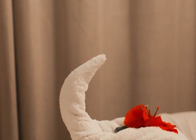 Toalla con flor roja en Blue Massage, creando ambiente relajante en Puerto Vallarta, Jalisco, MX.