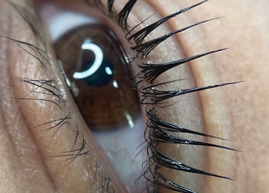Cerca de pestañas impecables en The Mint Room Beauty Studio, Ciudad De México, Ciudad De México, MX.