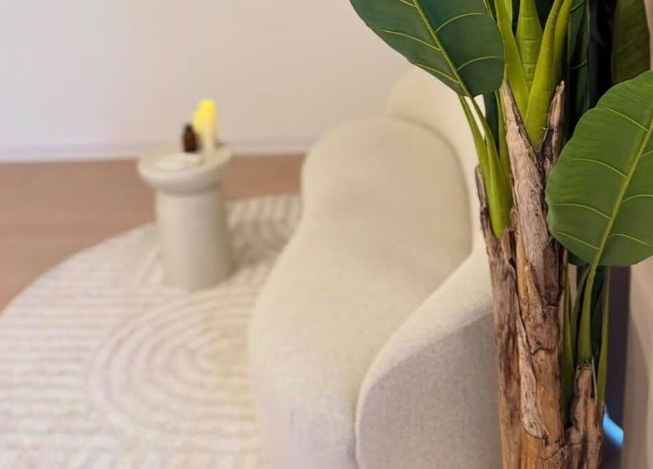 Moderni dnevni boravak u NOELLI SPA, Zagreb, Grad Zagreb, HR s udobnom sofom i egzotičnim biljkama.