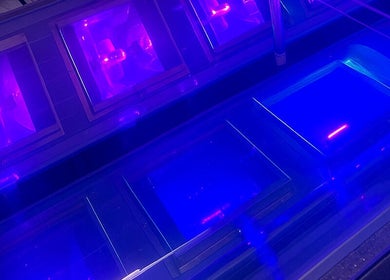 UV tanning booth at Sun Of A Beach Tanning in Taylor, Michigan offers a vibrant blue light experience.