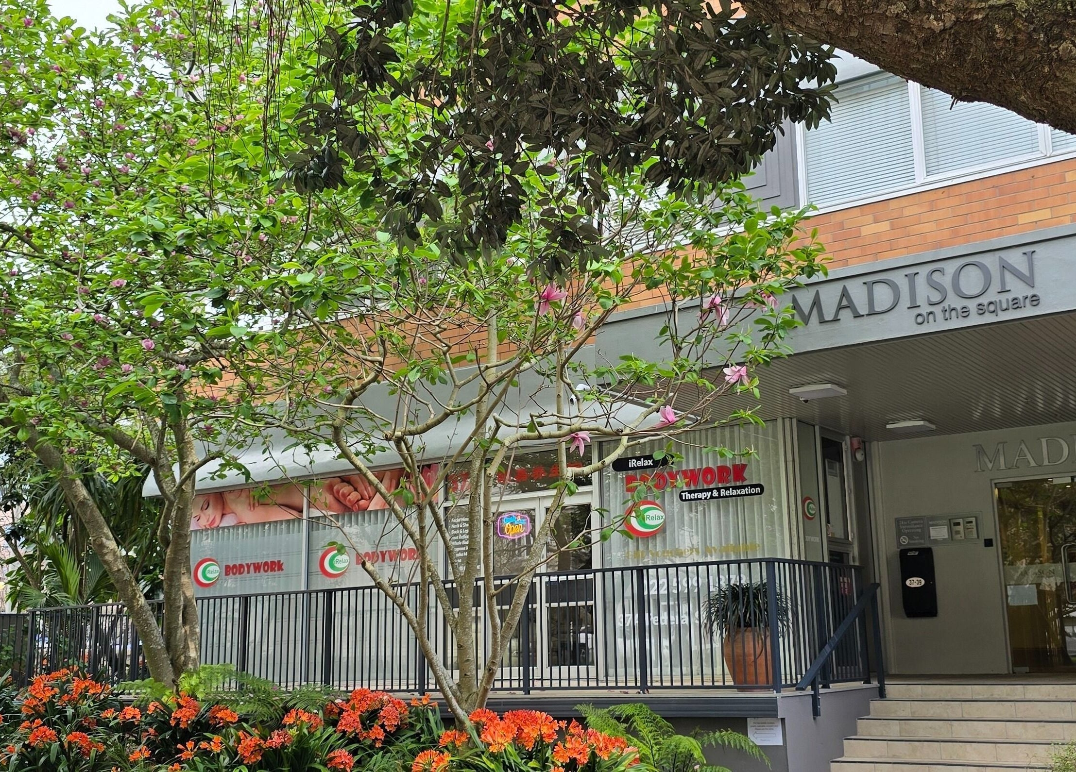 Entrance to AiRelax® Bodywork nestled in lush greenery at Madison on the Square, Auckland, Auckland, NZ.