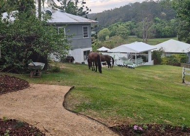Peaceful view of lush grounds at Pilates@The Honey Homestead, Piggabeen, New South Wales, AU with grazing horses.
