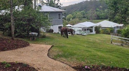 Peaceful view of lush grounds at Pilates@The Honey Homestead, Piggabeen, New South Wales, AU with grazing horses.