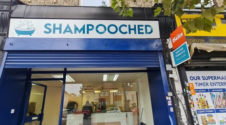 Exterior of Shampooched in Croydon, England, GB, showcasing the shop's inviting entrance and signage.