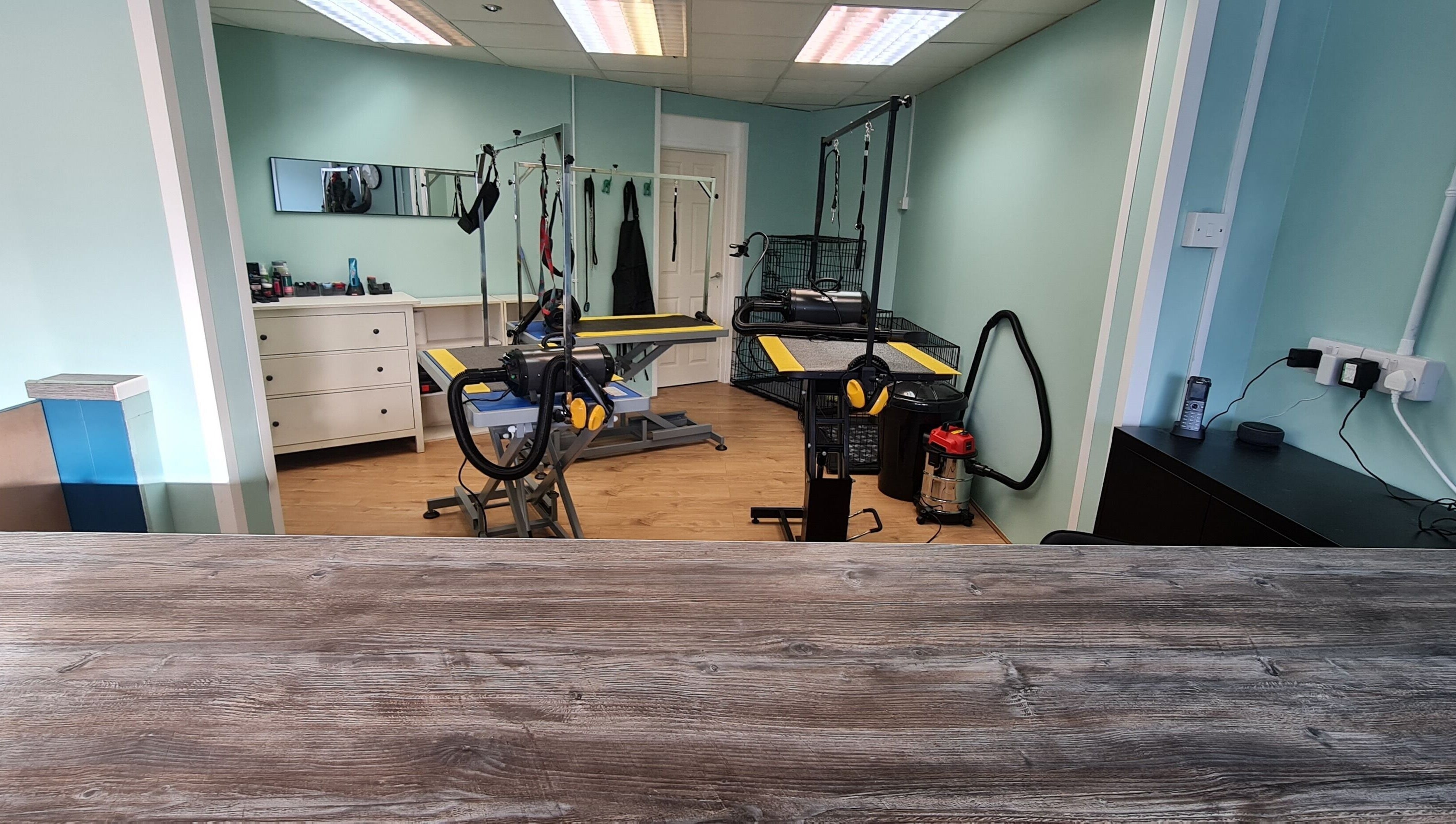 Shampooched grooming area featuring tables and tools in Croydon, England, GB.