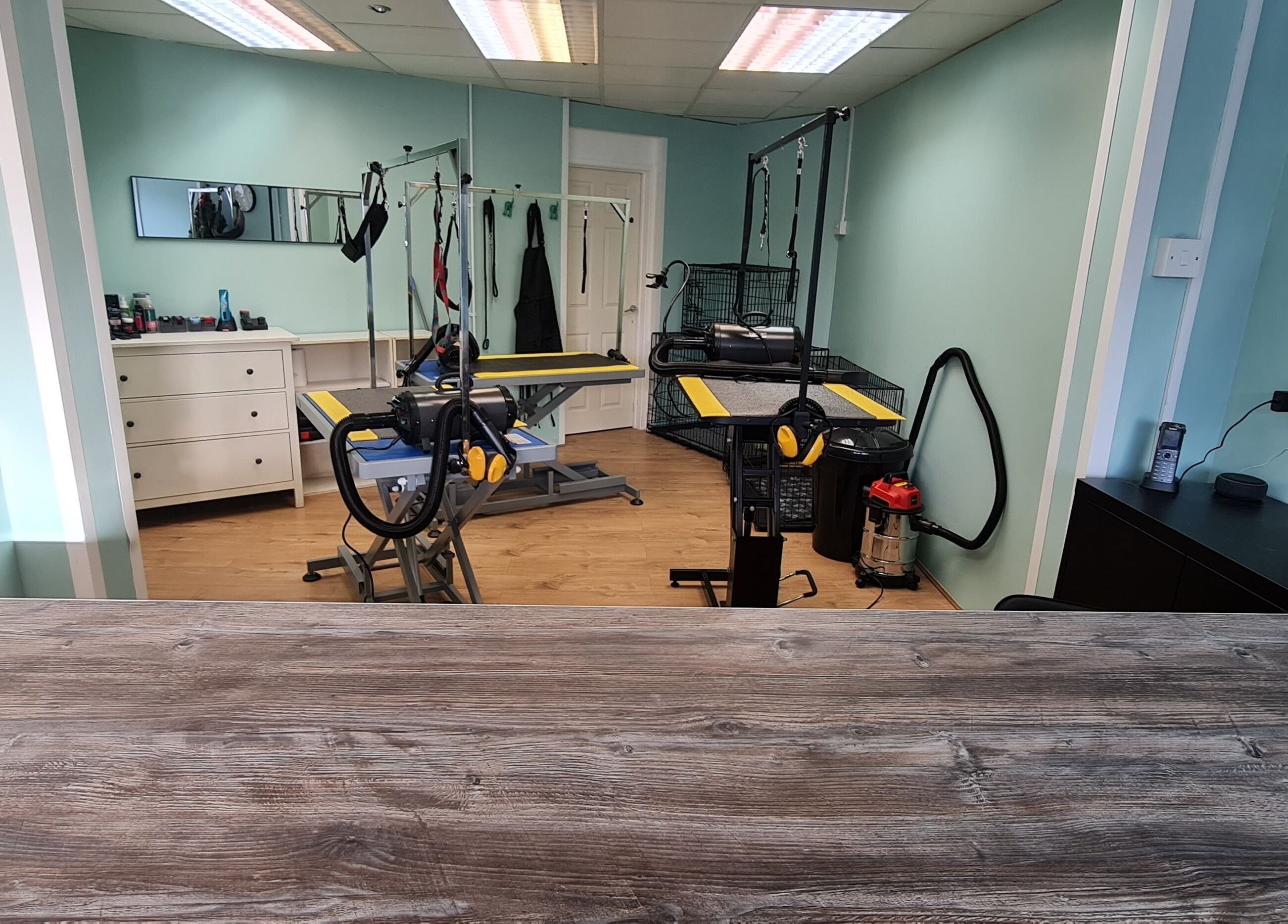 Shampooched grooming area featuring tables and tools in Croydon, England, GB.