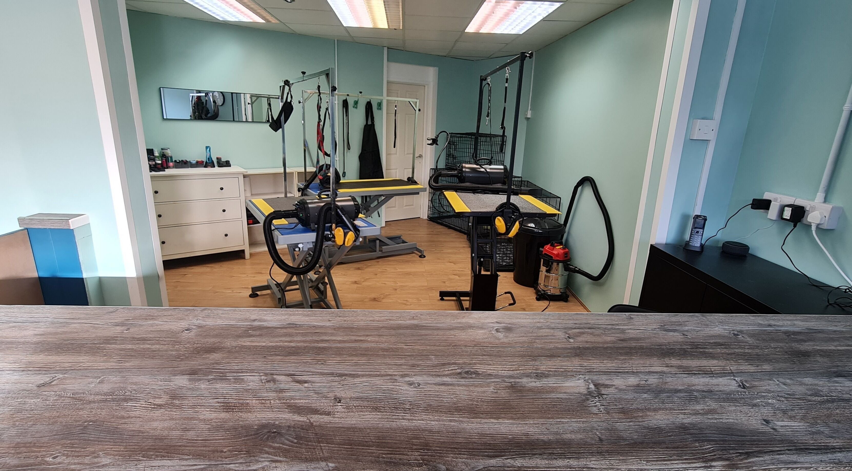 Shampooched grooming area featuring tables and tools in Croydon, England, GB.