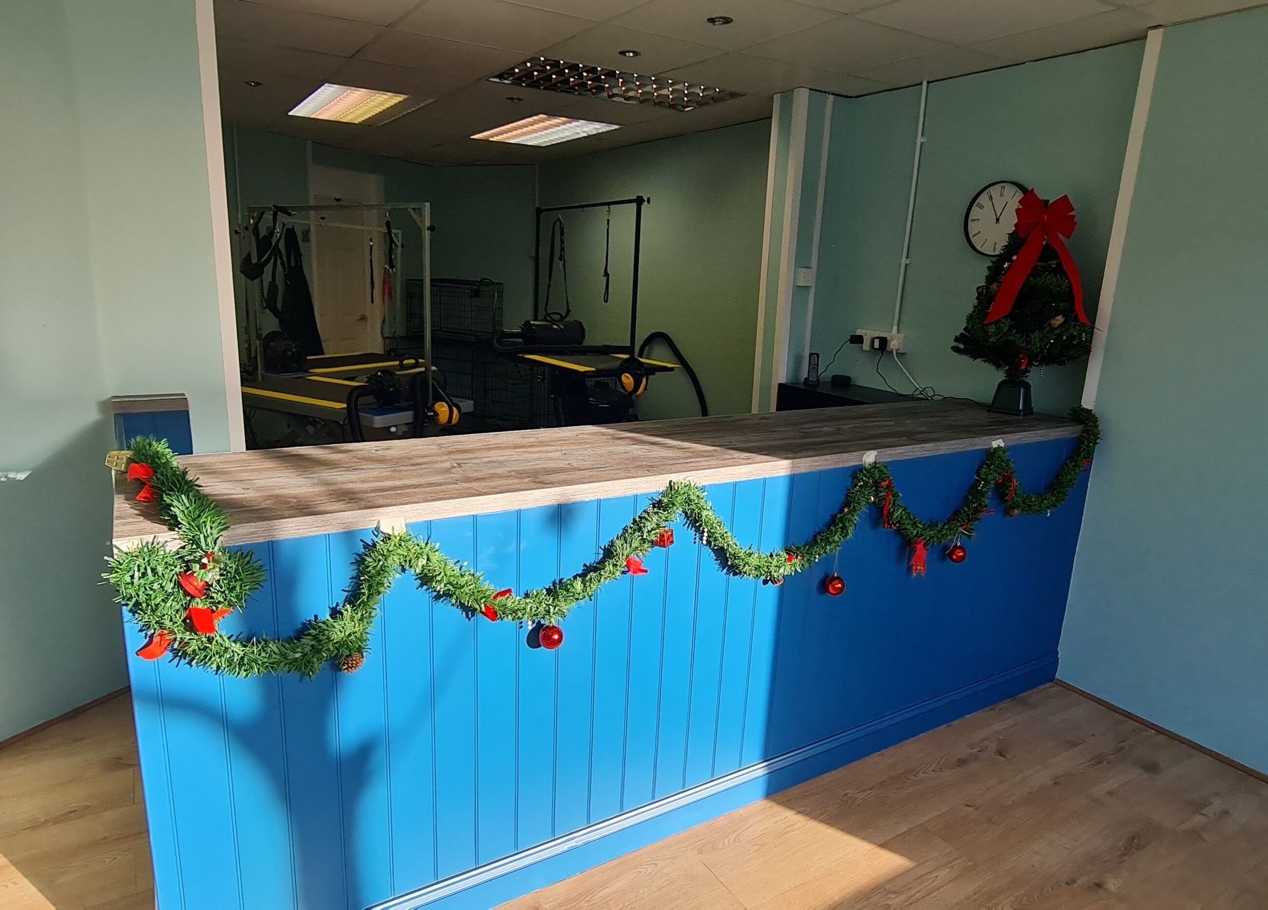 Shampooched reception desk with holiday decor in Croydon, England, GB, featuring garlands and ornaments.