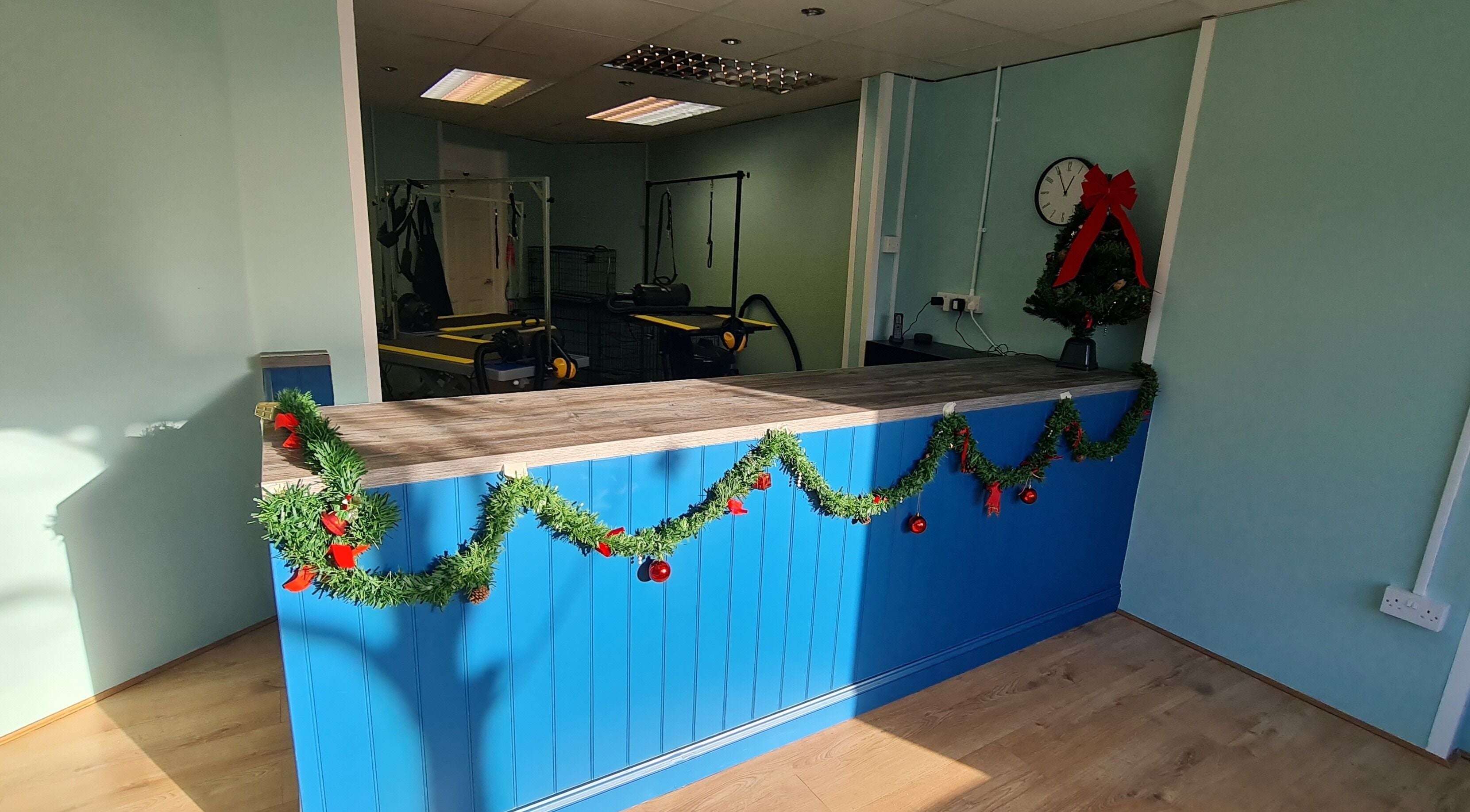 Shampooched reception desk with holiday decor in Croydon, England, GB, featuring garlands and ornaments.