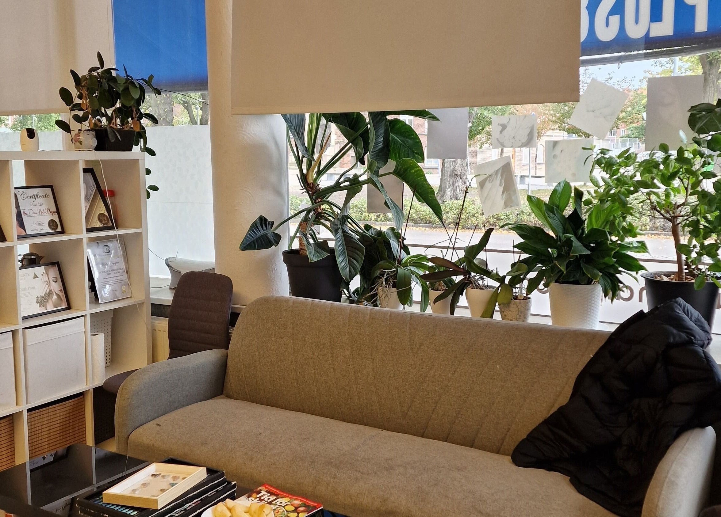 Mysig lounge på Plus 84 Nails, Landskrona, Skåne Län, SE med växter och diplom på hyllor.