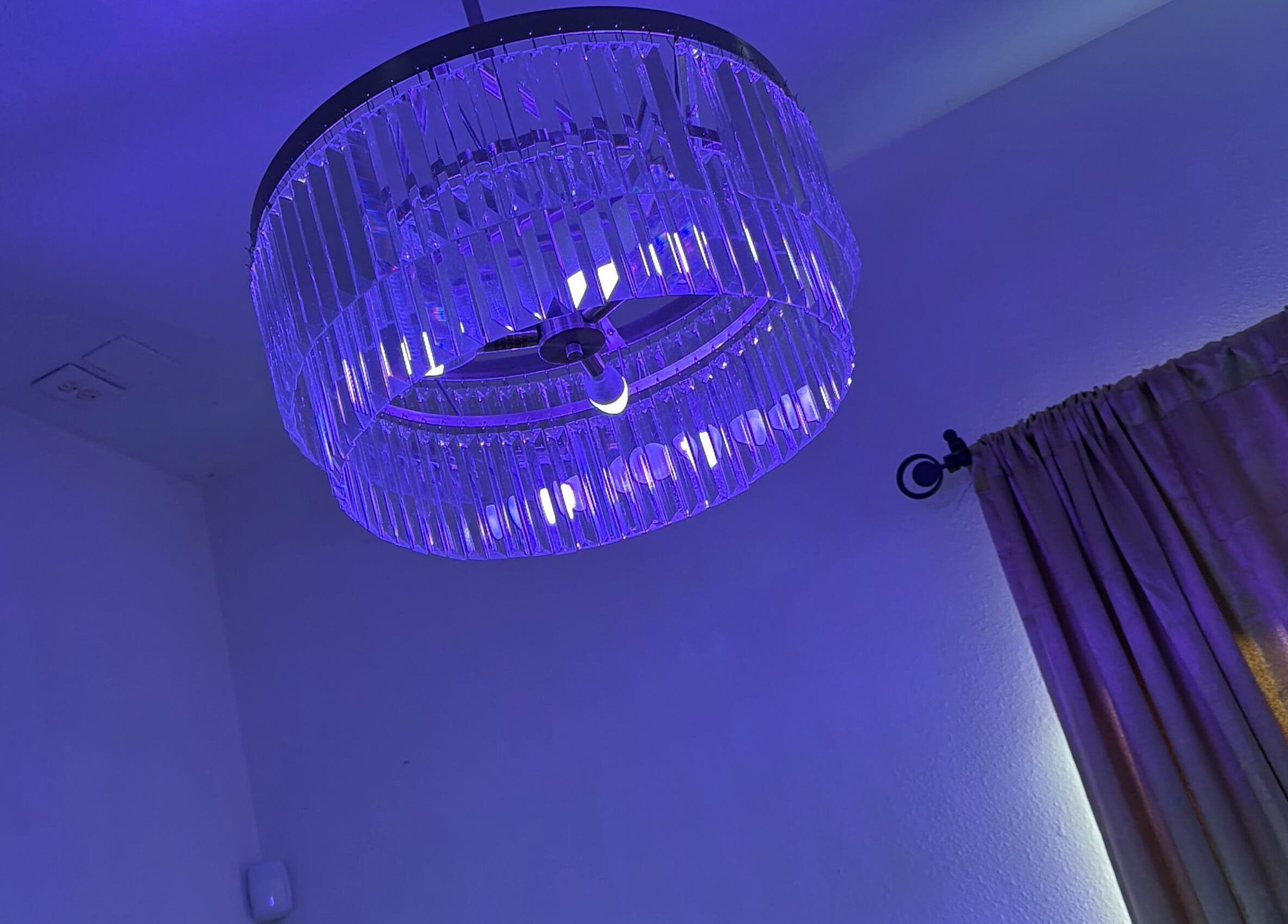 Elegant crystal chandelier glowing in purple light at Bare Beauty Co., Zephyrhills, Florida, US.