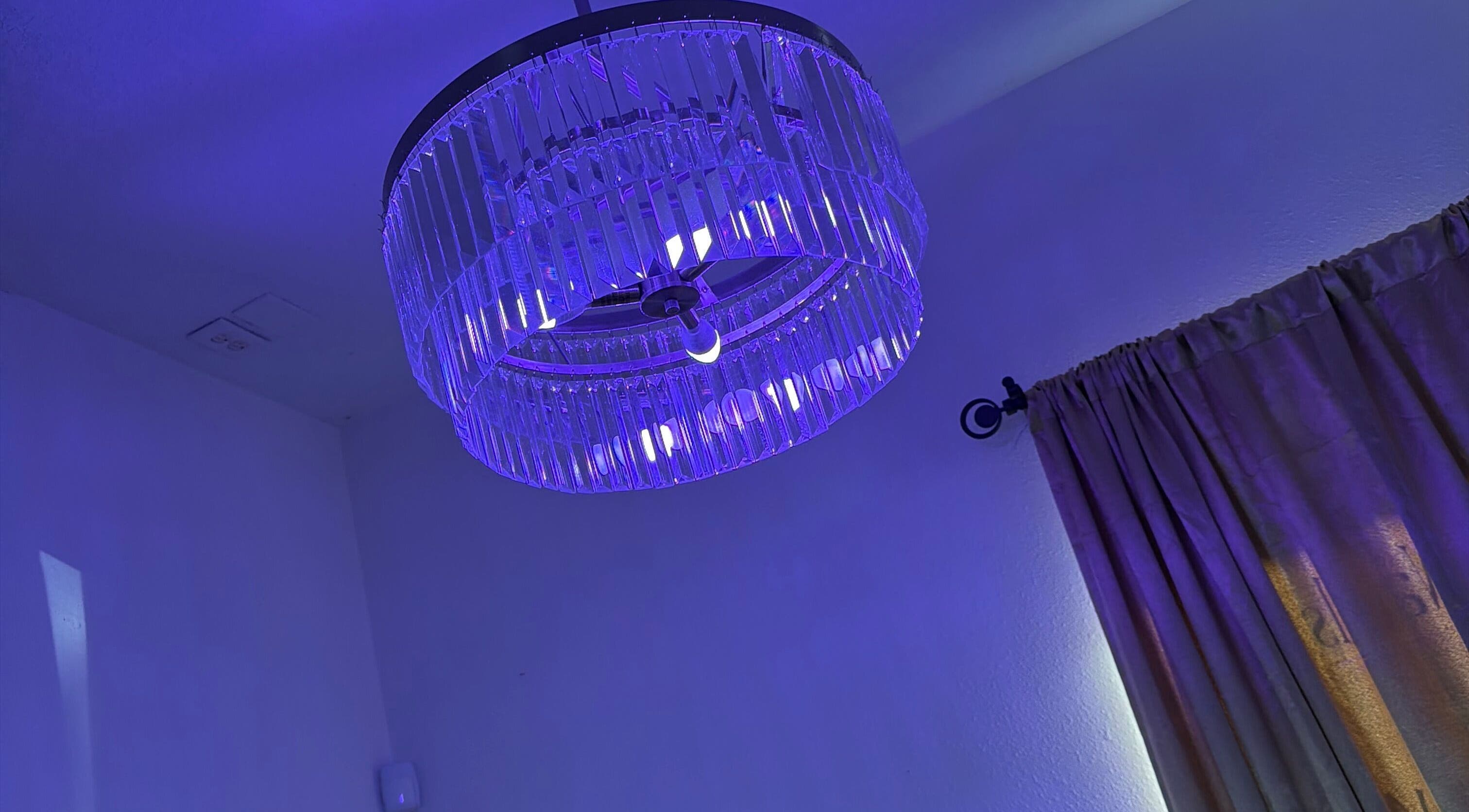 Elegant crystal chandelier glowing in purple light at Bare Beauty Co., Zephyrhills, Florida, US.