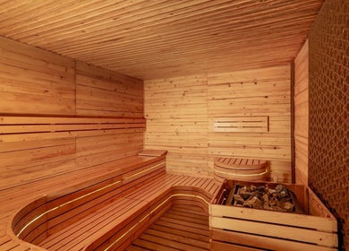 Luxurious sauna at Naturelife Spa Premium in Dubai, Dubai, AE, featuring elegant wooden interiors.