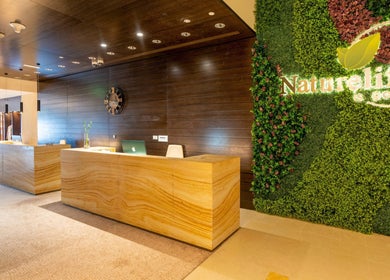 Reception area at Naturelife Spa Marina Abu Dhabi with lush green wall, Abu Dhabi, Abu Dhabi, AE.