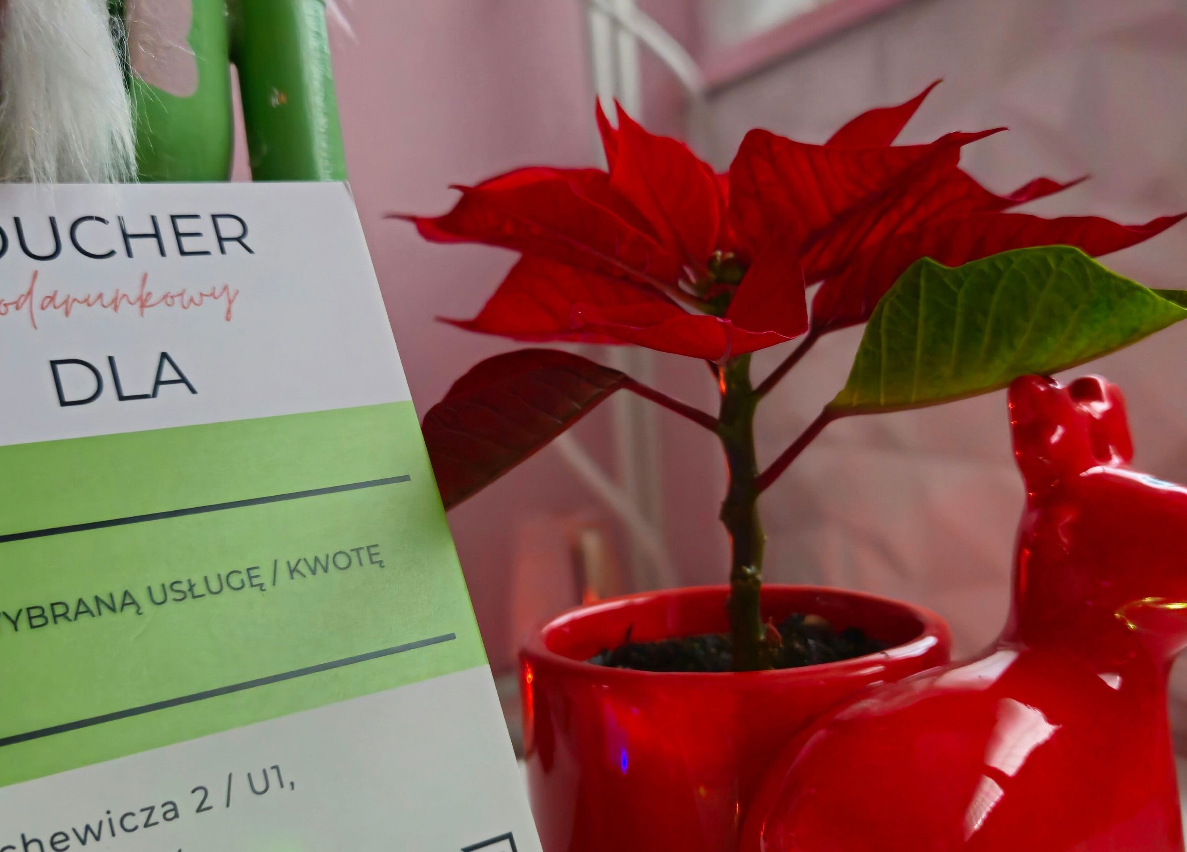 Voucher podarunkowy w GAIA Studio Head Spa, Puławy, Województwo Lubelskie, PL z czerwoną dekoracją.