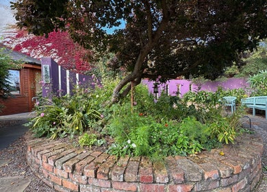 Peaceful garden at Listening Fields Holistic Massage (Dublin City Centre), Dublin, County Dublin, IE.