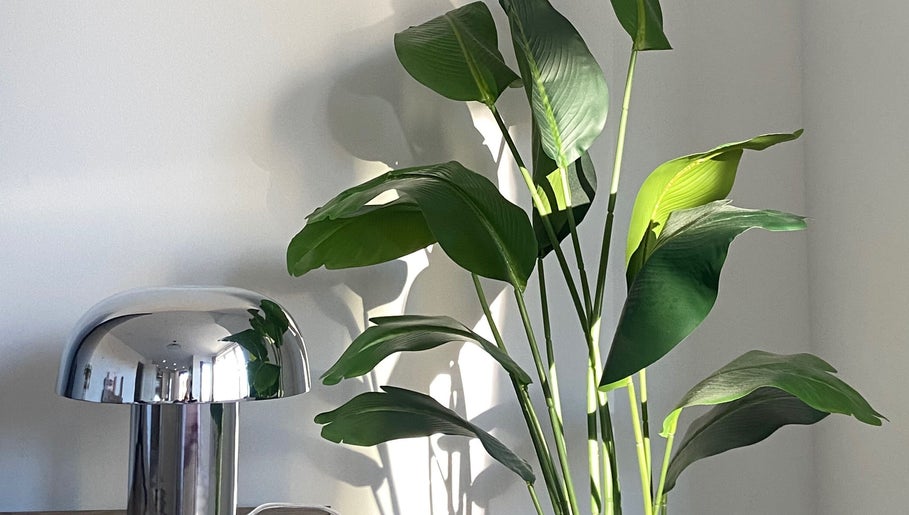 Elegant plant and lamp at June Studios, Edinburgh, Scotland, GB, creating a tranquil ambiance.