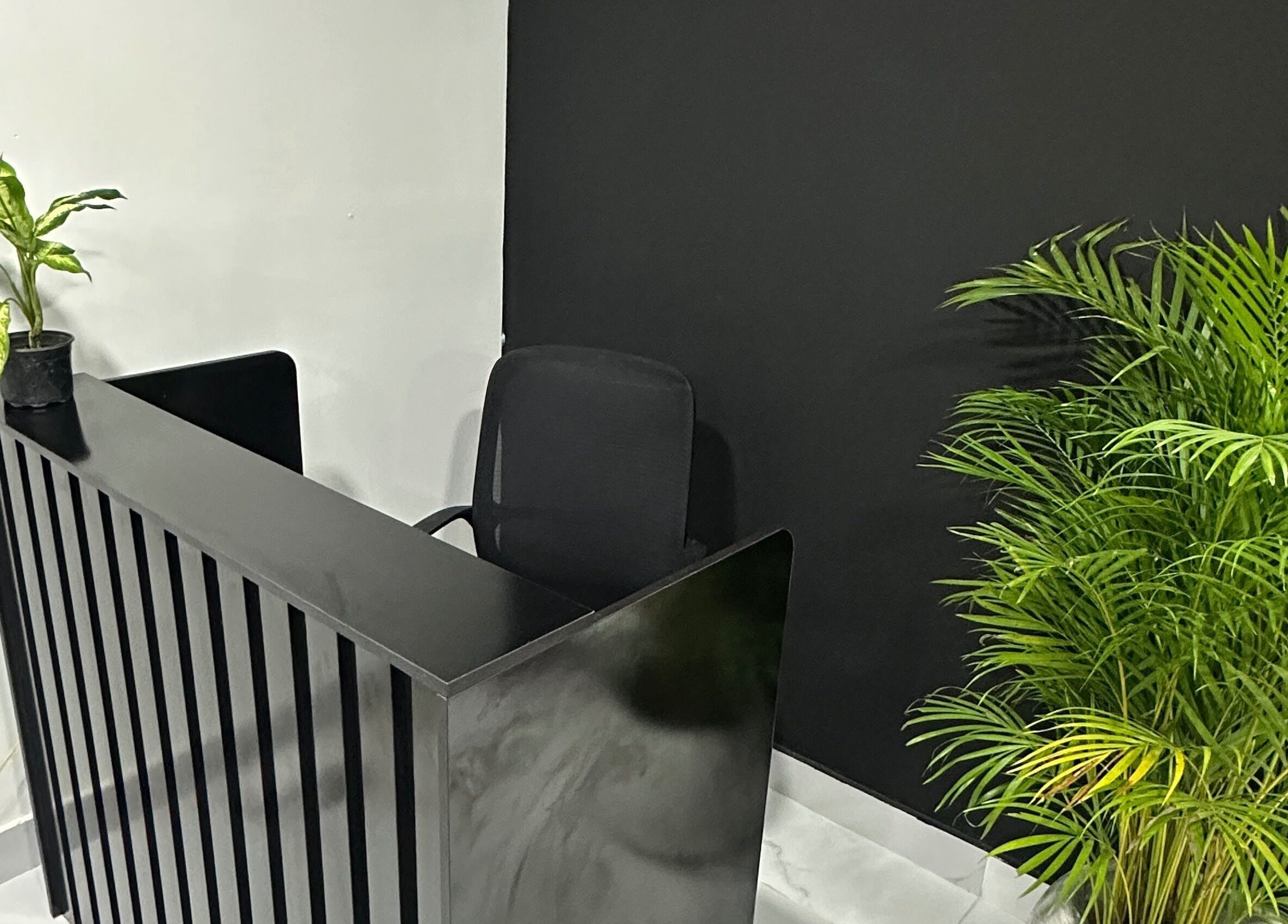 Chic reception area at EP Beauty Studio in Bonao, Monseñor Nouel, DO with modern desk and lush plants.