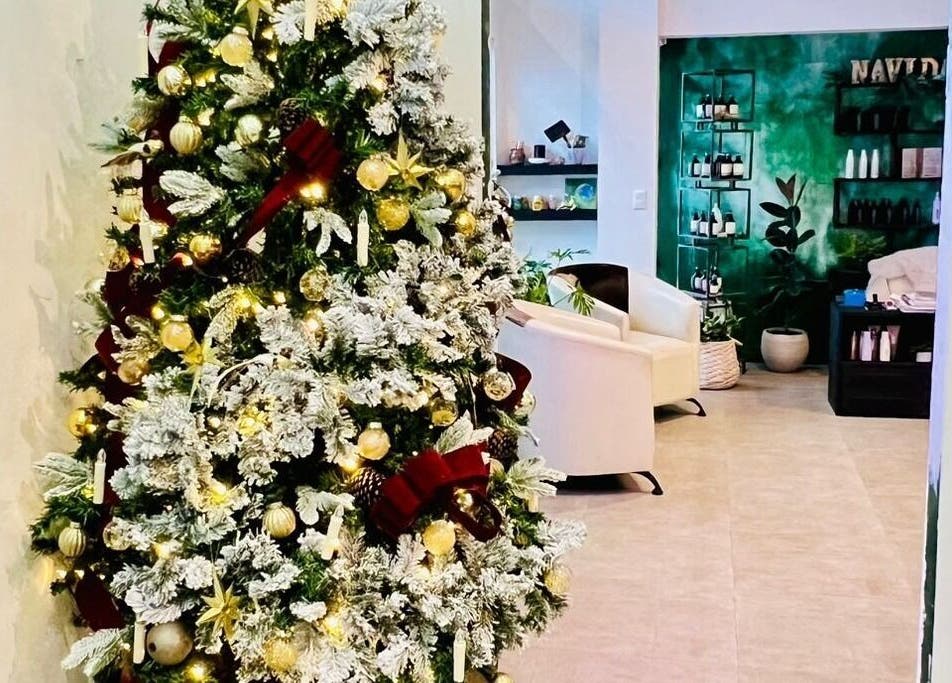 Elegante árbol de Navidad decorado en Rivalbo, Grecia, Provincia De Alajuela, CR, creando un ambiente festivo.