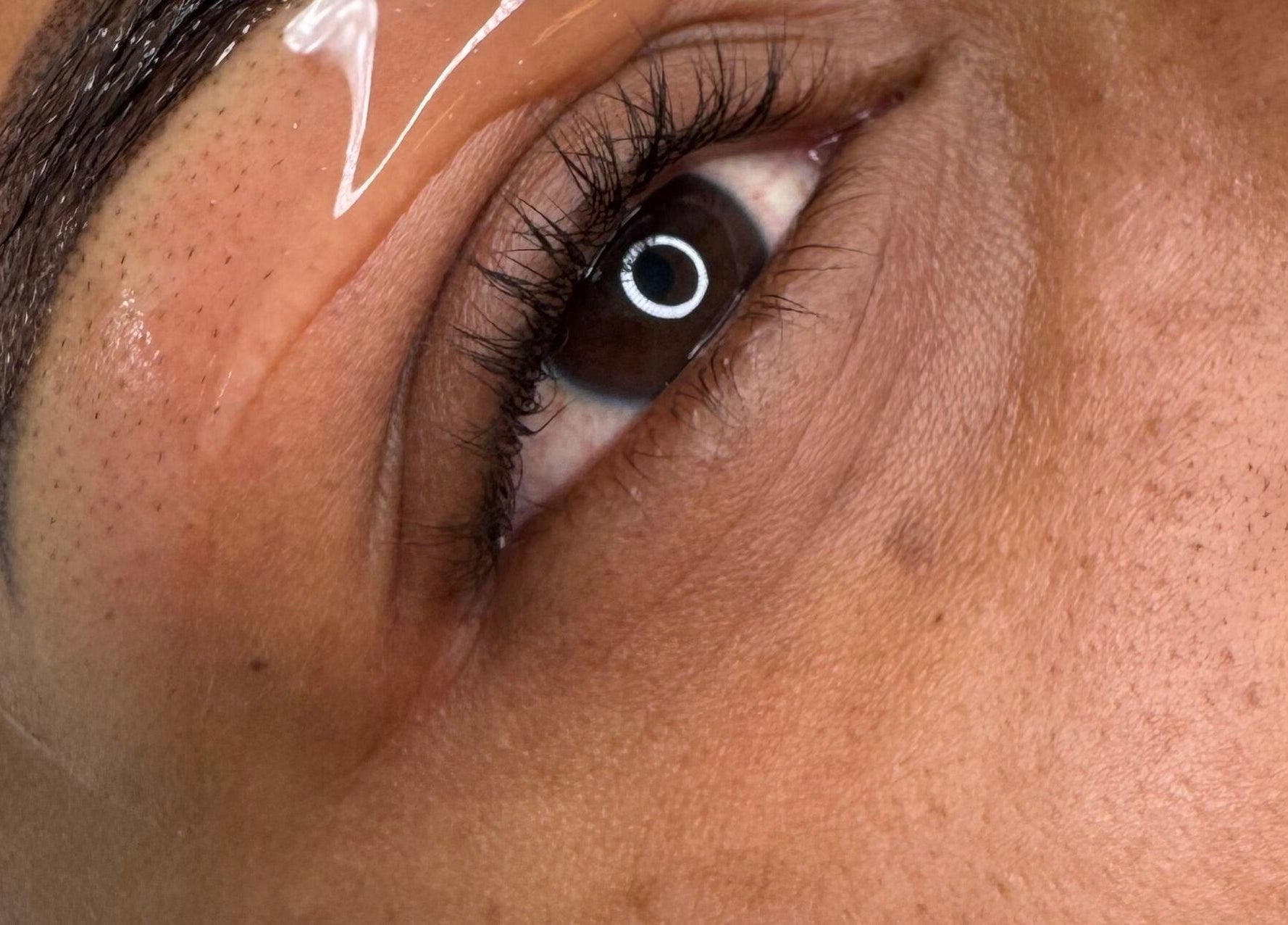 Close-up of beautifully groomed lashes and brows at 𝐄’𝐩𝐞𝐥 𝐋𝐚𝐬𝐡 𝐚𝐧𝐝 𝐁𝐫𝐨𝐰 𝐋𝐨𝐮𝐧𝐠𝐞, Willemstad, Curaçao, CW.