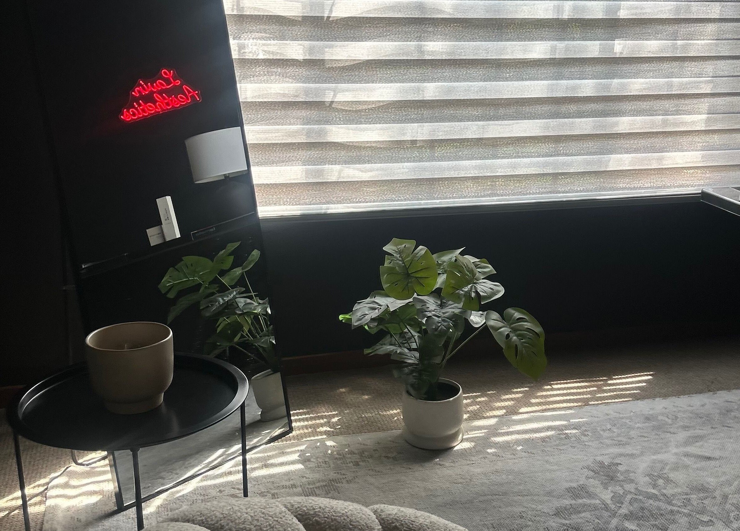 Relaxation area at Lavin Laser and Aesthetics in Centurion, Gauteng, ZA with plants and modern decor.