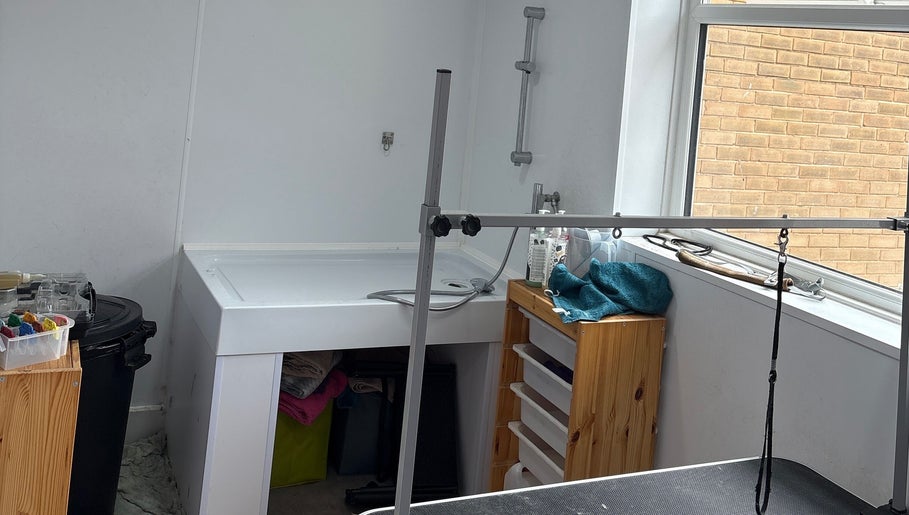 Grooming area at Canine Adventures, Seaham, England, GB featuring a washbasin and grooming equipment.