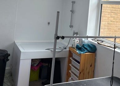 Grooming area at Canine Adventures, Seaham, England, GB featuring a washbasin and grooming equipment.