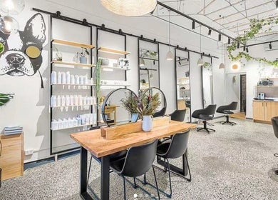 Modern interior of DANIEL DOVE HAIR in Newtown, New South Wales, AU with chic decor and styling stations.