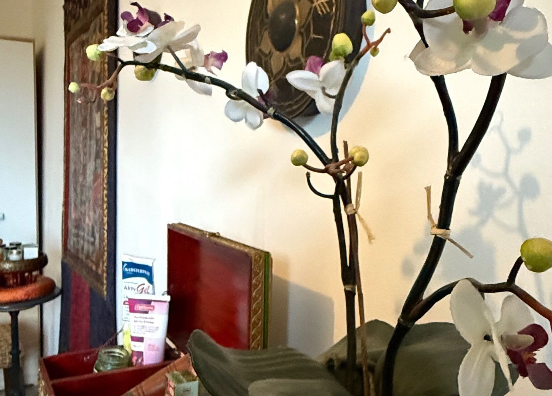 Orchideen im Entspannungsbereich von MaNa Thaimassage, Hausen, Rheinland-pfalz, DE.