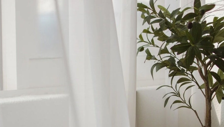 Peaceful corner at Skin Haus Aesthetics LLC, Miramar, Florida, with a lush plant by white curtains.